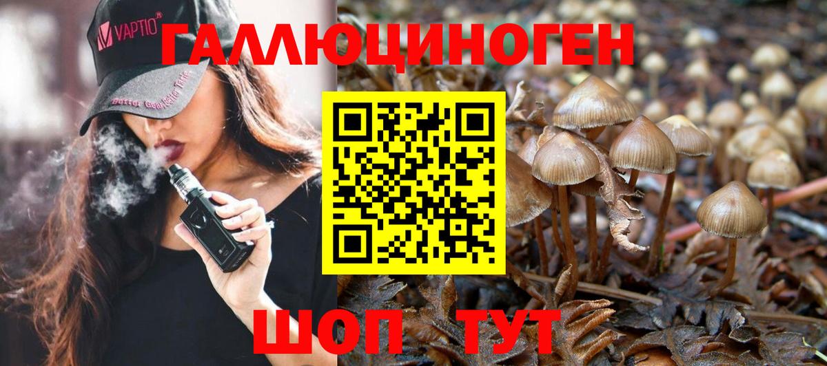 Сосновый Бор  Галлюциногенные грибы прущие грибы  Галлюциногенные грибы Psilocybe  Вход с VPN 